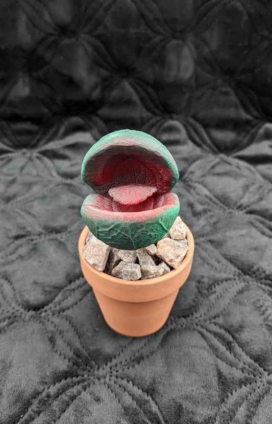 Scary carnivorous plant