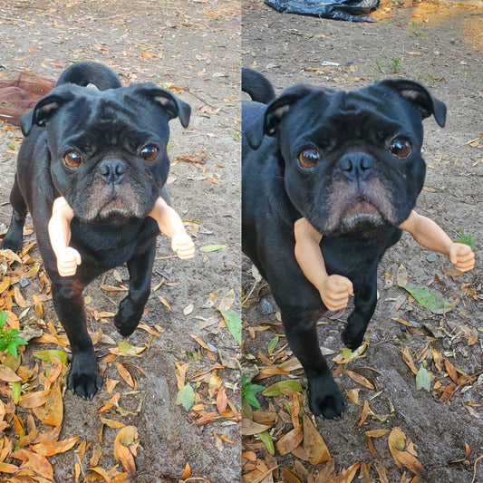 Human Dog Arms