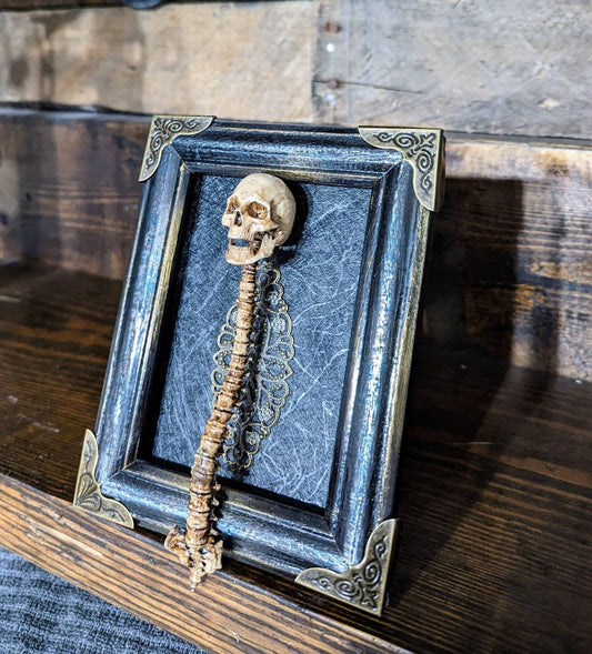 Realistic skull and spine framed
