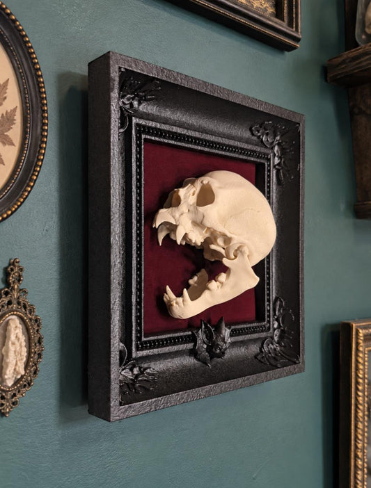 The Count's Remains — Etsy product photo 1
